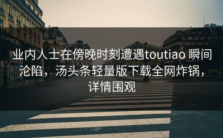 业内人士在傍晚时刻遭遇toutiao 瞬间沦陷，汤头条轻量版下载全网炸锅，详情围观