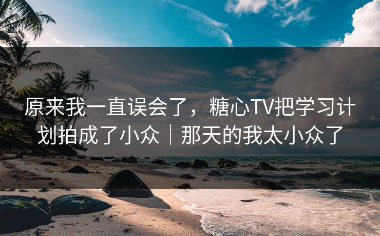 原来我一直误会了，糖心TV把学习计划拍成了小众｜那天的我太小众了