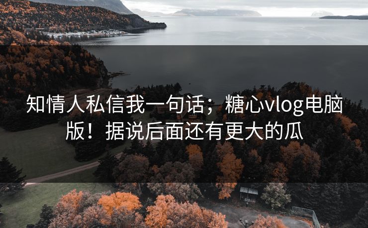 知情人私信我一句话；糖心vlog电脑版！据说后面还有更大的瓜